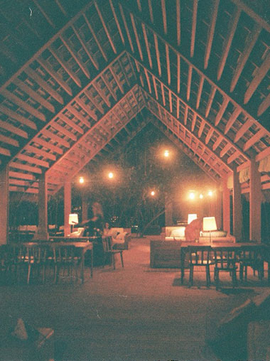 Dreamy Bedtime Stories